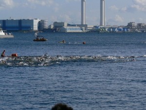 307194_237497749636406_100001285477277_721337_1594204345_n