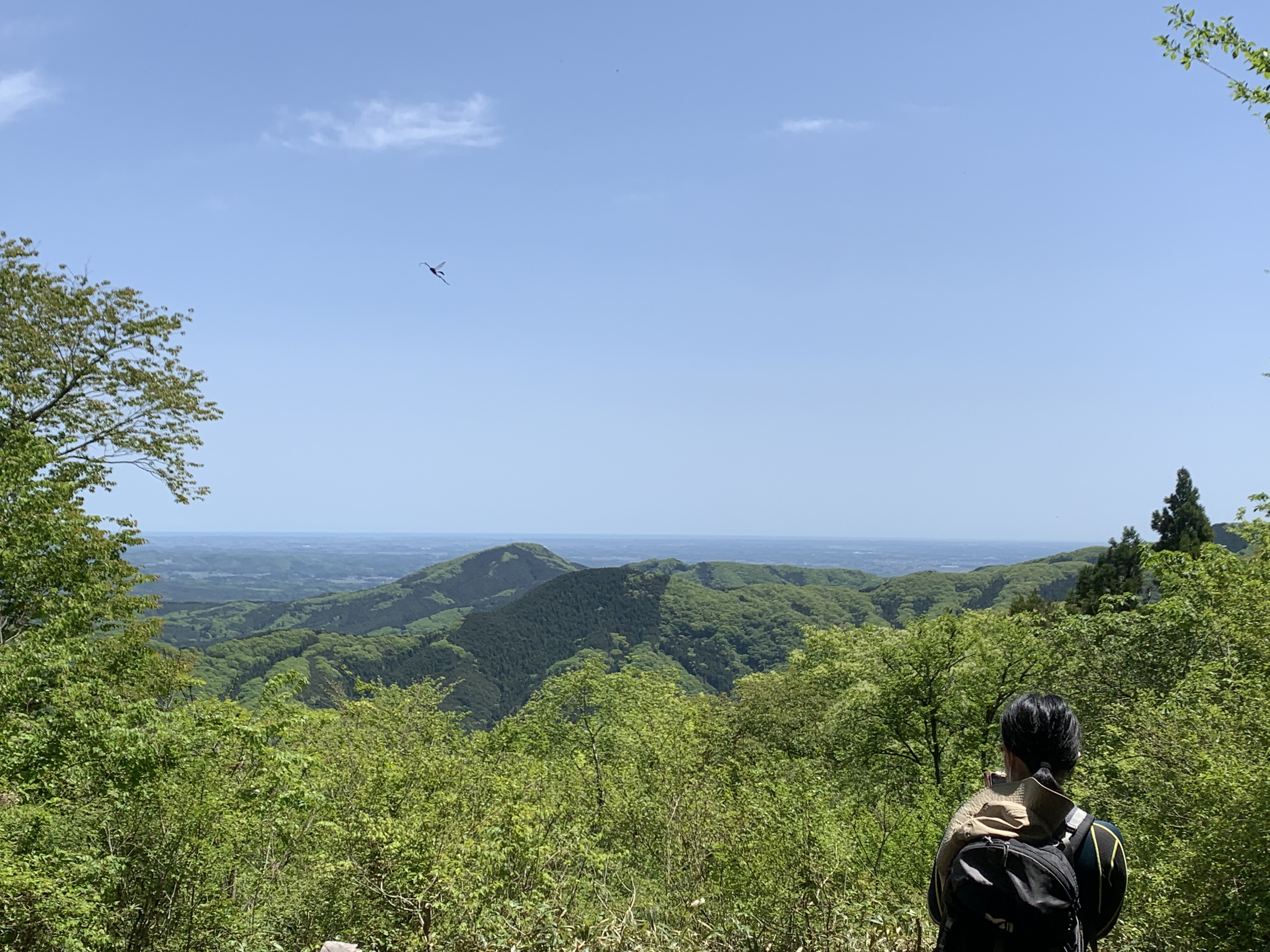 雨巻山トレイル