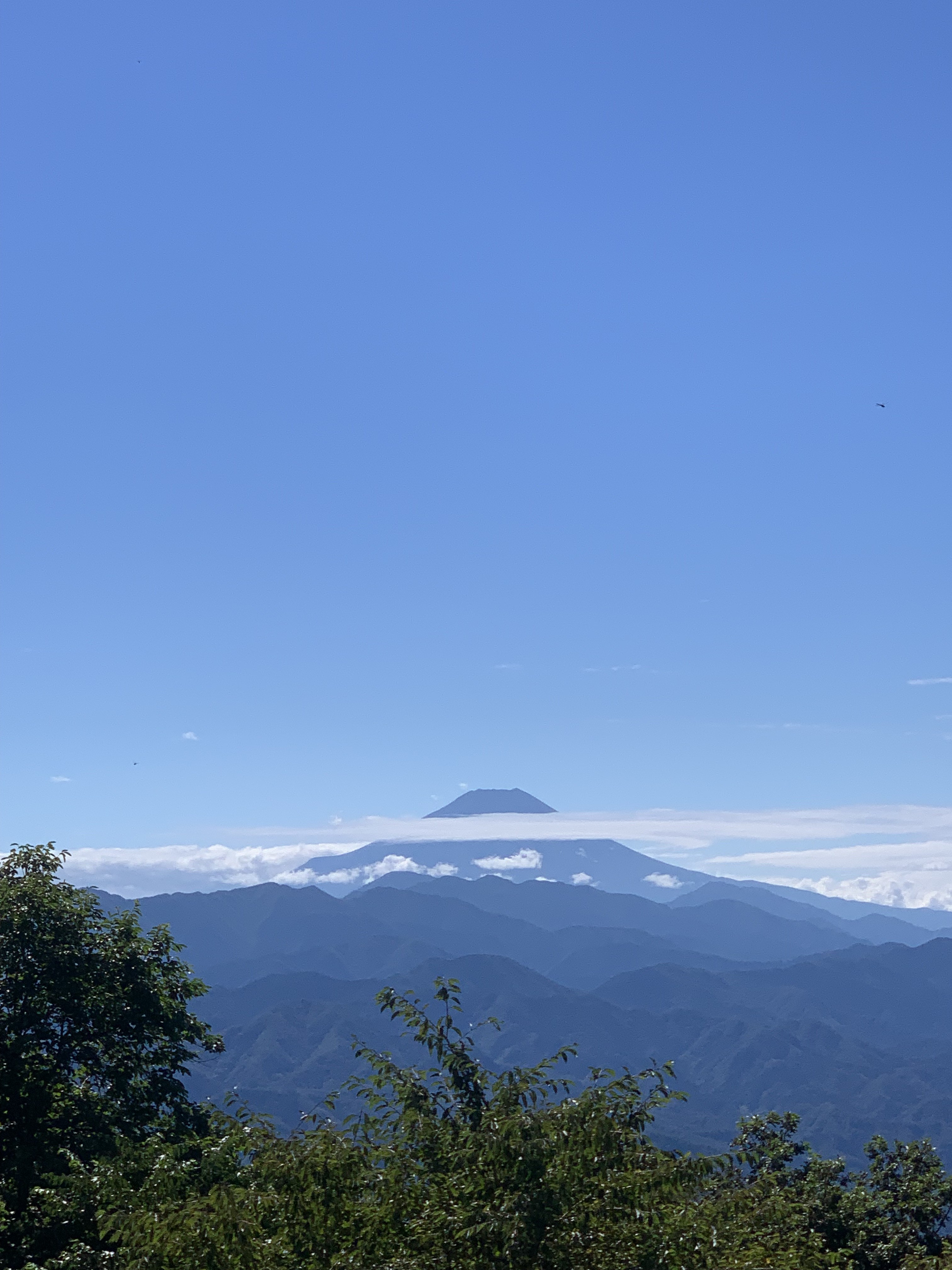 高尾山 縦走